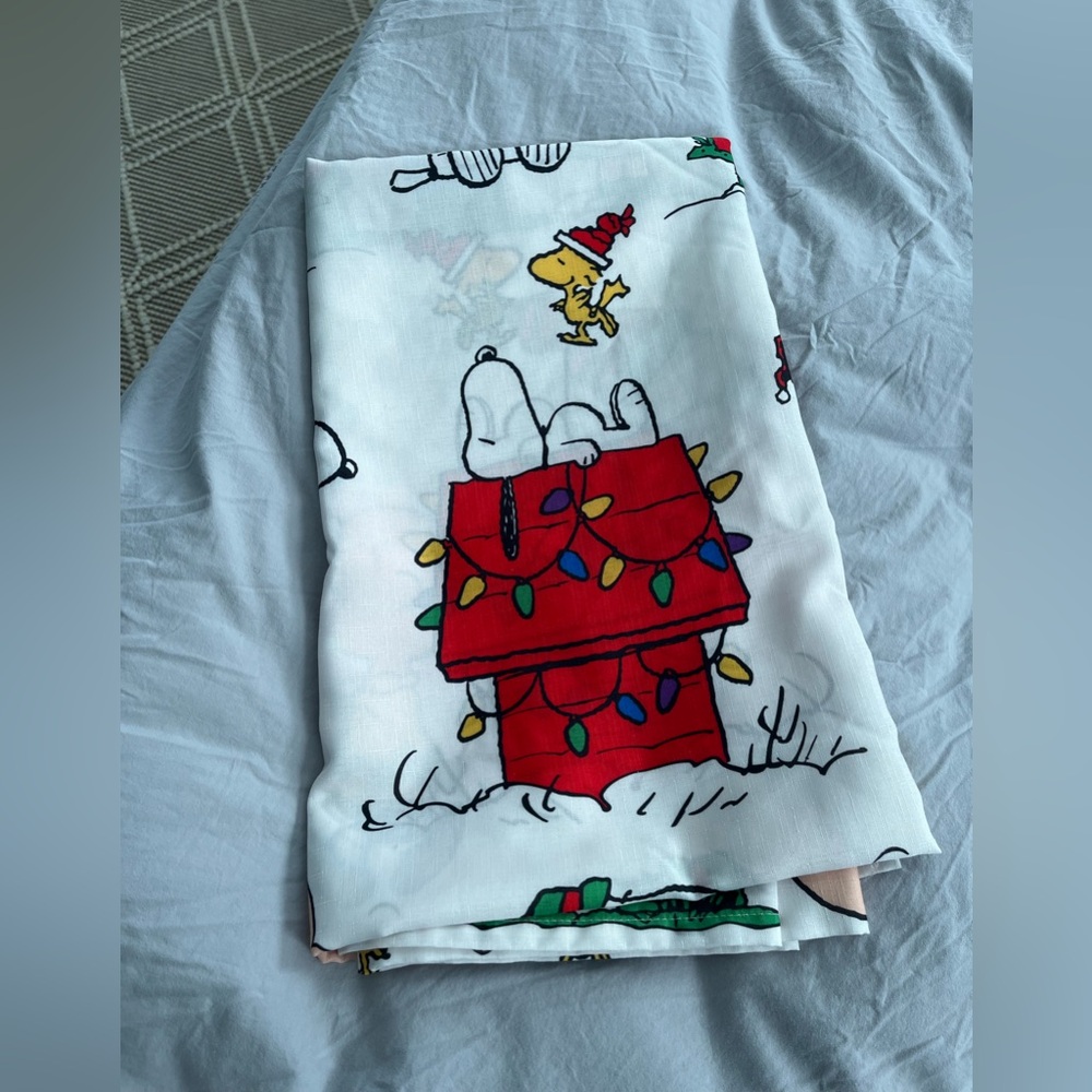 Snoopy shower curtain and rings!
